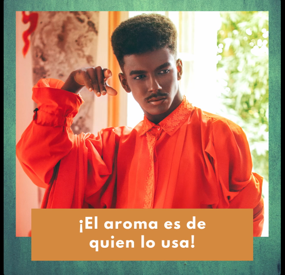 FS Perfumes Reels FS Perfumes Reels